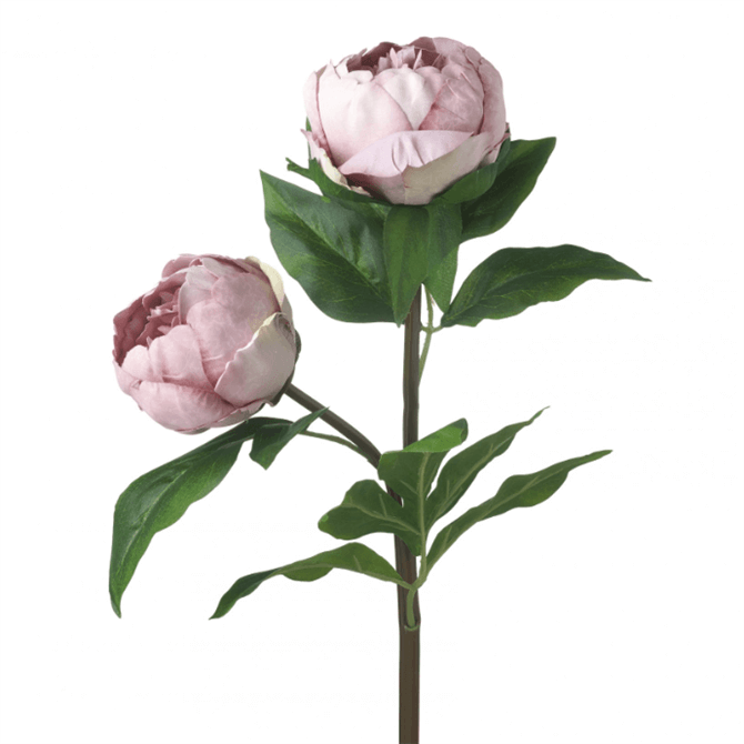 Parlane Real Touch Blush Artificial Peony Stem